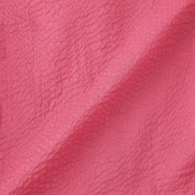 【Ｌ】ウェーブローン　スリーブフリルチュニック（Ｗ７Ｍ１２５６０＿＿）