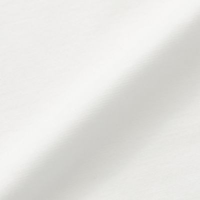 【Ｌ】コットンポンチ　カットソープルオーバー（Ｗ７Ｐ０９４２６＿＿）