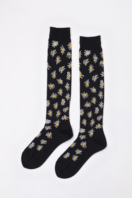 ＜ENFOLD (Women)＞ＤＡＩＳＹ　ＳＯＣＫＳ（３００ＨＡ１５６－２５３０）