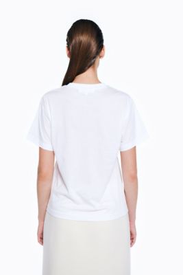 ＥＮＦＯＬＤ　ＢＡＳＩＣ　Ｔ－ＳＨＩＲＴ（３００ＨＡ１８０－１０３０）