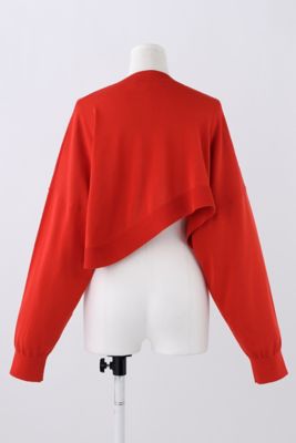 ＭＩＣＲＯ－ＭＩＮＩ　ＣＡＲＤＩＧＡＮ（３００ＨＡ２７０－０９１０）