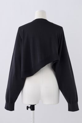 ＭＩＣＲＯ－ＭＩＮＩ　ＣＡＲＤＩＧＡＮ（３００ＨＡ２７０－０９１０）