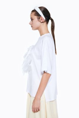 ＯＲＧＡＮＤＹ　Ｔ－ＳＨＩＲＴ（３００ＨＡ４８０－１０６０）