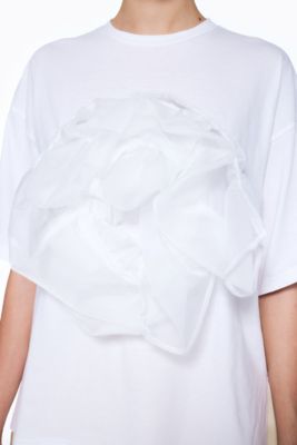 ＯＲＧＡＮＤＹ　Ｔ－ＳＨＩＲＴ（３００ＨＡ４８０－１０６０）