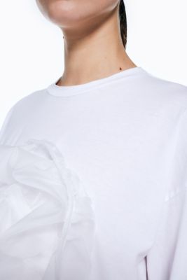 ＯＲＧＡＮＤＹ　Ｔ－ＳＨＩＲＴ（３００ＨＡ４８０－１０６０）