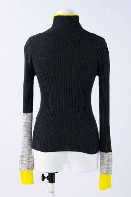 ＨＩＧＨ－ＮＥＣＫ　ＲＩＢ　ＢＩ－ＣＯＬＯＲ　ＰＵＬＬＯＶＥＲ（３００ＨＳ１７０－０２６０）