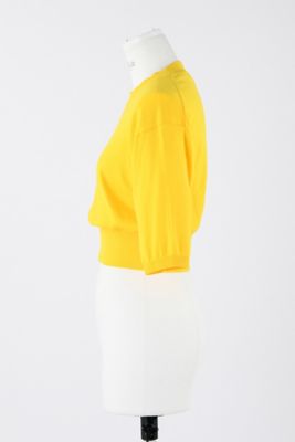ENFOLD◆CROPPED KNIT T-SHIRTS/クロップドニットTシャツ/38/コットン/300HS170-2170// CROPPED KNIT T－SHIRT（300HS170