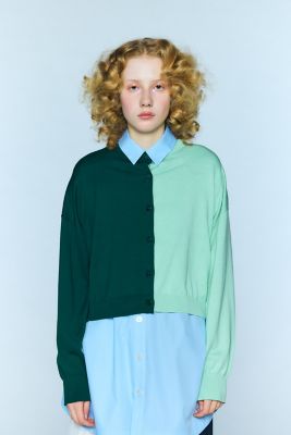 ＢＩＣＯＬＯＲ　ＣＡＲＤＩＧＡＮ（３００ＩＡ１７０－０３９１）