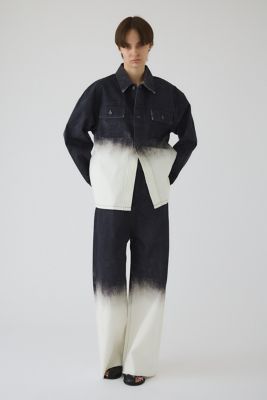 Ｇｒａｄａｔｉｏｎ　ｄｅｎｉｍ　ＰＴ（４６０ＩＳＬ１１－０８３１）