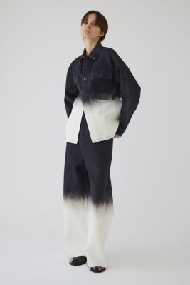 Ｇｒａｄａｔｉｏｎ　ｄｅｎｉｍ　ＰＴ（４６０ＩＳＬ１１－０８３１）