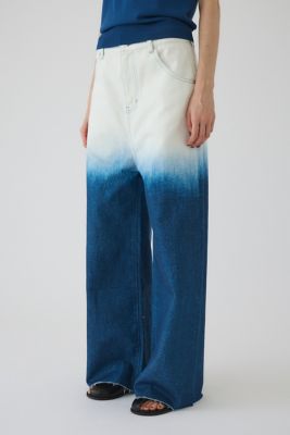 Ｇｒａｄａｔｉｏｎ　ｄｅｎｉｍ　ＰＴ（４６０ＩＳＬ１１－０８３１）