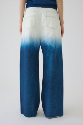 Ｇｒａｄａｔｉｏｎ　ｄｅｎｉｍ　ＰＴ（４６０ＩＳＬ１１－０８３１）
