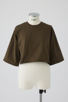 Ｎｅｗ　ｂａｓｉｃ　ｓｈｏｒｔ　ｔｅｅ（４６０ＩＳＳ８０－１２５１）