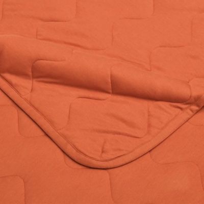 西川/ニシカワ ウオームフィール インナーケット(AE05380090) オレンジ 毛布・ブランケット【三越伊勢丹/公式】