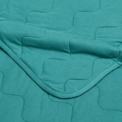 西川/ニシカワ ウオームフィール インナーケット(AE05380090) アオ 毛布・ブランケット【三越伊勢丹/公式】