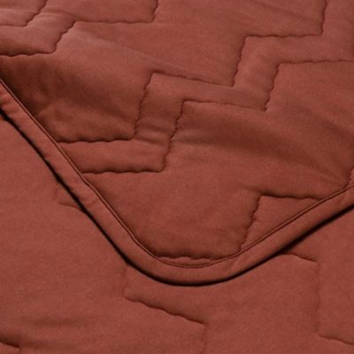 西川/ニシカワ ウオームフィール インナーケットプレミアム(AE05580091) ワイン 毛布・ブランケット【三越伊勢丹/公式】