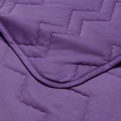 西川/ニシカワ ウオームフィール インナーケットプレミアム(AE05580091) パープル 毛布・ブランケット【三越伊勢丹/公式】