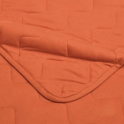 西川/ニシカワ ウオームフィール リビングケット(AE75150090) オレンジ 毛布・ブランケット【三越伊勢丹/公式】