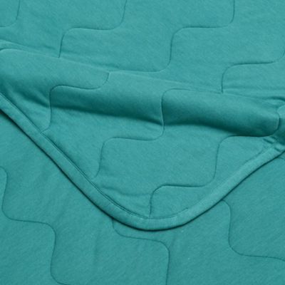 西川/ニシカワ ウオームフィール リビングケット(AE75150090) アオ 毛布・ブランケット【三越伊勢丹/公式】