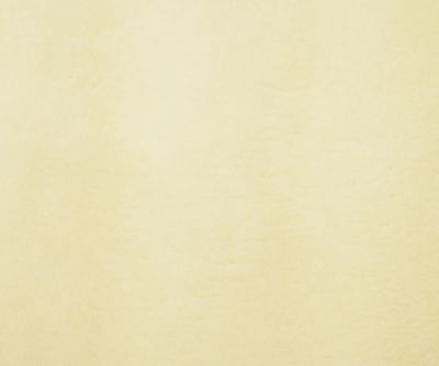 西川/ニシカワ イトリエ ロングパイルウール敷パッド(CM03272006) アイボリー シーツ【三越伊勢丹/公式】