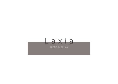 Laxia ジャンボ抱き枕（EG90080050） | 西川