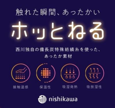 西川　ポリエステル合わせ毛布（毛羽部分）（ＦＱ０３０６５００４）