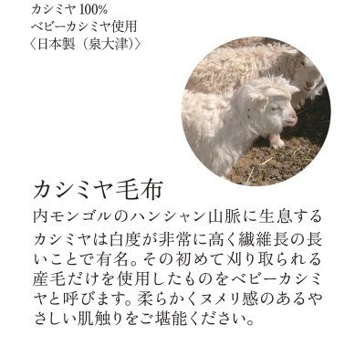 西川プレミアム ベビーカシミヤ毛布（FQ03402003） | 西川