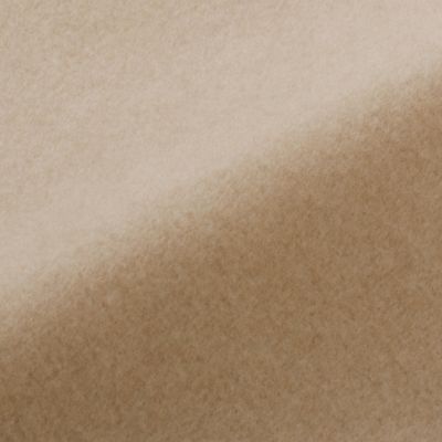 西川プレミアム ゴールドカシミヤ毛布（FQ03602004） | 西川