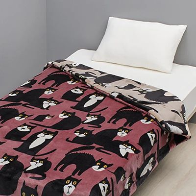 フィンレイソン リバーシブルわた入毛布（FQ05905012