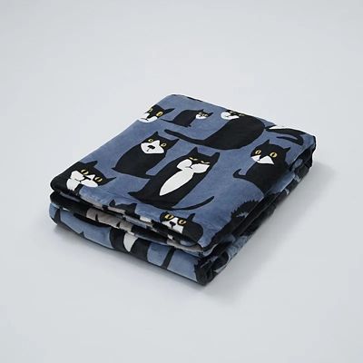 フィンレイソン リバーシブルわた入毛布（FQ05905012