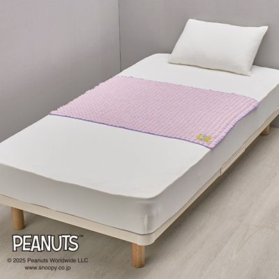 ピーナッツ（スヌーピー） クッションインブランケット