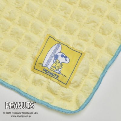 西川/ニシカワ ピーナッツ(スヌーピー) クッションインブランケット(FQ95507600) キイロ 毛布・ブランケット【三越伊勢丹/公式】