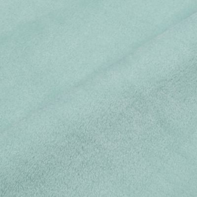 西川/ニシカワ ピーナッツ(スヌーピー) 巾着付きブランケット(FQ95507605) ミドリ 毛布・ブランケット【三越伊勢丹/公式】