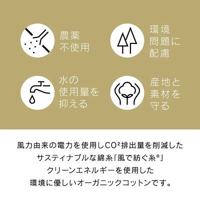 ウエッジウッド　タオルケット（ＦＲ０５１００６００）