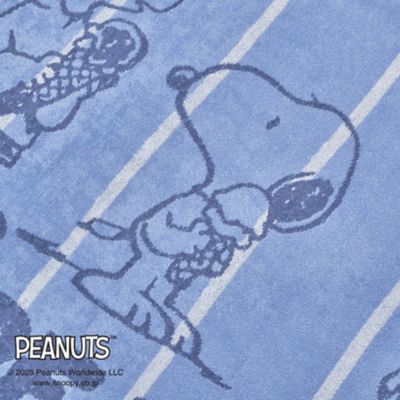 西川/ニシカワ ピーナッツ(スヌーピー) タオルケット(FR05600608) アオ 毛布・ブランケット【三越伊勢丹/公式】