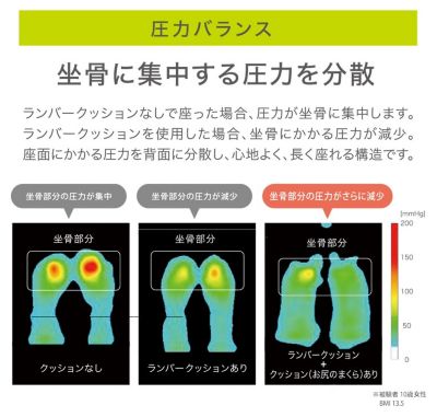 西川　Ｋｅｅｐｓランバークッション（腰のまくら）ｆｏｒ　キッズ（ＨＧ９４９０４６５４）