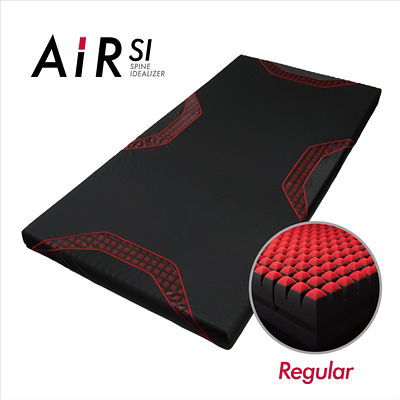 中古】東京西川 AiR エアーポータブル マットレス シングル おそう スリム