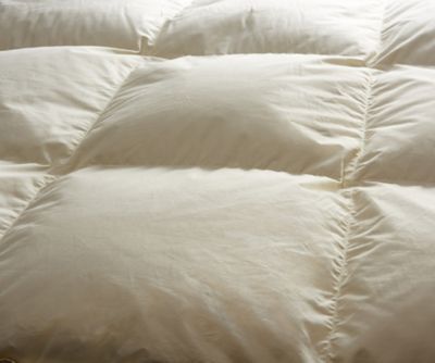 西川/ニシカワ 西川プレミアム NP7051 羽毛合掛ふとん(KA04775072) アイボリー720 キルト・掛け布団【三越伊勢丹/公式】