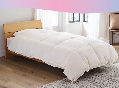 ＜西川＞西川　とろふわデュエット羽毛掛ふとん（ＫＡ０５３０１００３）