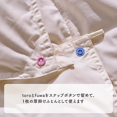 西川 とろふわデュエット羽毛掛ふとん（KA05301003） | 西川