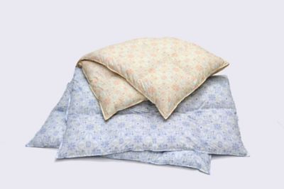 ＜西川＞西川　羽毛掛ふとん（ＫＡ０５６０３１０５）