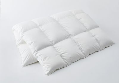 ＜西川＞西川　羽毛掛ふとん　ＳＤＬ（ＫＡ１５１１５１０９）