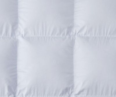 西川/ニシカワ ゴア 羽毛掛ふとんDL(KA22309061) グレー キルト・掛け布団【三越伊勢丹/公式】