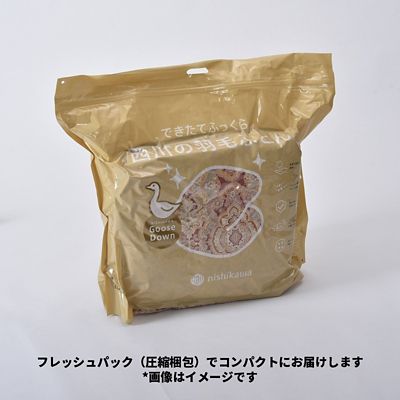 西川　羽毛掛ふとん　ＤＬ（ＫＡ２３００６００５）
