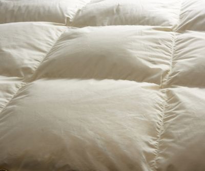 西川/ニシカワ 西川プレミアム NP7051 羽毛合掛ふとん DL(KA24115072) アイボリー キルト・掛け布団【三越伊勢丹/公式】