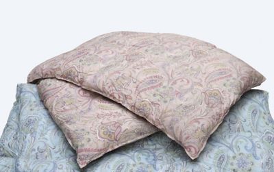 西川 マザーグース羽毛掛ふとん DL（KA25277108