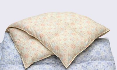 西川 羽毛掛ふとん DL（KA25903105） | 西川