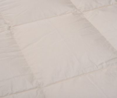 ＜三越伊勢丹/公式＞ 西川/ニシカワ 羽毛肌掛ふとん シングルロング アイボリー キルト・掛け布団【三越伊勢丹/公式】
