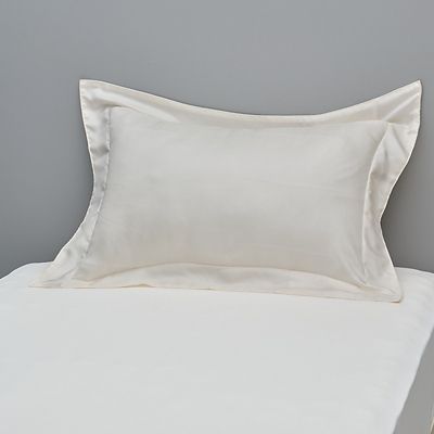 ＜西川＞西川プレミアム　シルクツイルピローケース（ＰＪ０６２０９０６５）