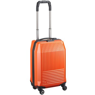 楽天市場】【SALE】エース プロテカ フリーウォーカーD 02732